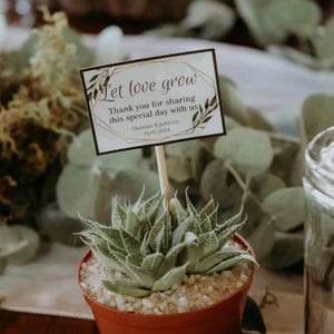 Wedding succulent favors by Forevermore Momentos with a thank you card and green succulent in small brown pot